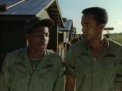 Background image for The Short Timer