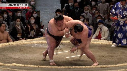 GRAND SUMO Highlights Season 15 Episode 10 - Day 10