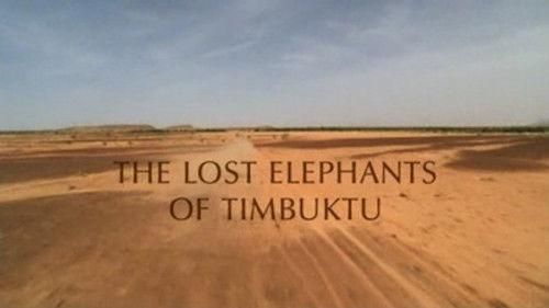 Natural World Season 20 Episode 1 - The Lost Elephants of Timbuktu