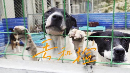 今生，请多指教 Season 1 Episode 3 - Episode 3