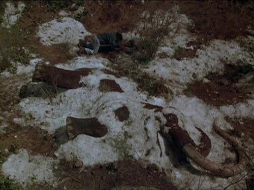 Northern Exposure Season 5 Episode 24 - Lovers and Madmen