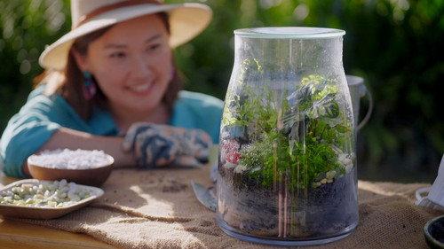 Gardening Australia Junior Season 1 Episode 13 - Making Mini-Climates