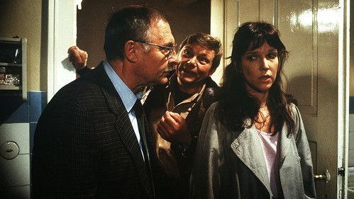 Der Alte Season 10 Episode 11 - Episode 11