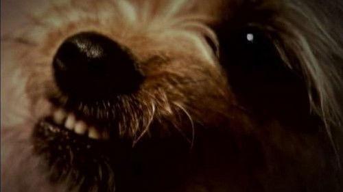 The Haunted Season 1 Episode 6 - The Possession of Cassie