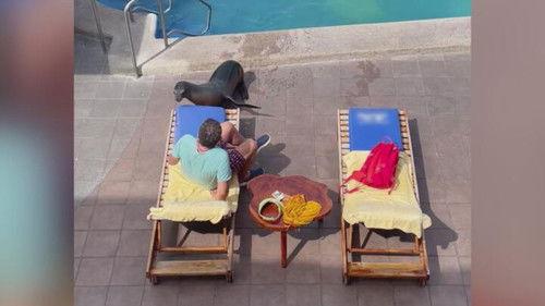 Customer Wars Season 6 Episode 9 - Refund Rage