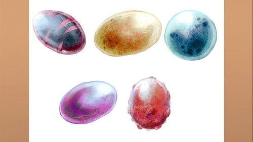 Dinosaur Train Season 2 Episode 14 - The Nursery Car