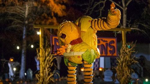 Outrageous Pumpkins Season 3 Episode 3 - Sky-High Scares