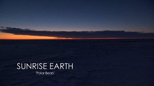 Sunrise Earth Season 3 Episode 17 - Polar Bears