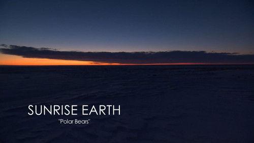 Sunrise Earth Season 3 Episode 17 - Polar Bears