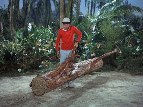 undefined Season 3 Episode 3 - Pass the Vegetables, Please