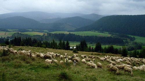 Background image for Episode 10