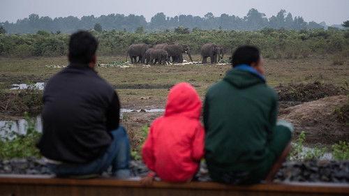 Foreign Correspondent Season 28 Episode 1 - Man v Wild