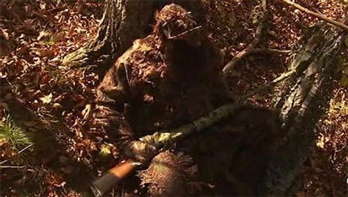 MonsterQuest Season 3 Episode 3 - Swamp Stalker