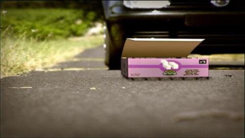 Minuscule: The Private Life of Insects Season 1 Episode 35 - Ants