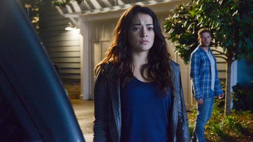 Background image for The Mother