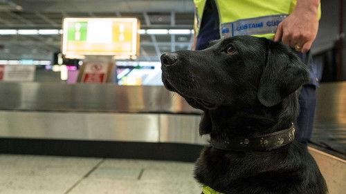 Stop, Search, Seize Season 1 Episode 14 - Episode 14