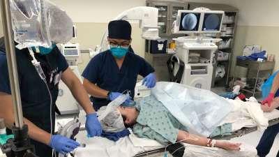 Background image for Hornet's Nest Feet