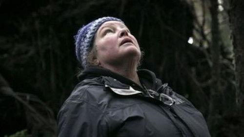 Background image for Eyes of the Forest