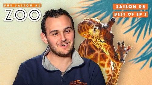 Une saison au zoo Season 8 Episode 4 - Episode 4