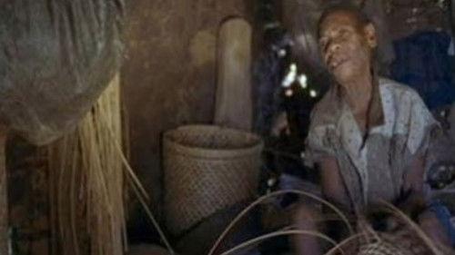 Nature Season 20 Episode 3 - Africa: Voices of the Forest