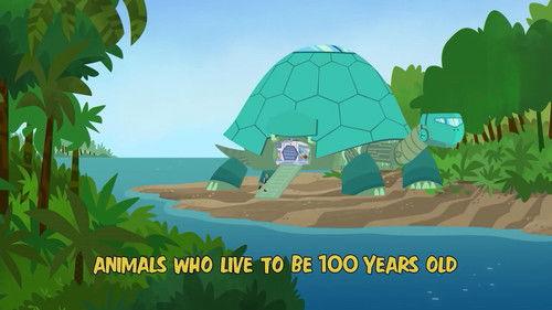 Wild Kratts Season 4 Episode 6 - Animals Who Live to Be 100 Years Old
