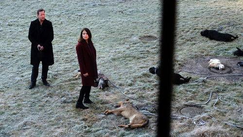 Polizeiruf 110 Season 45 Episode 4 - Wölfe