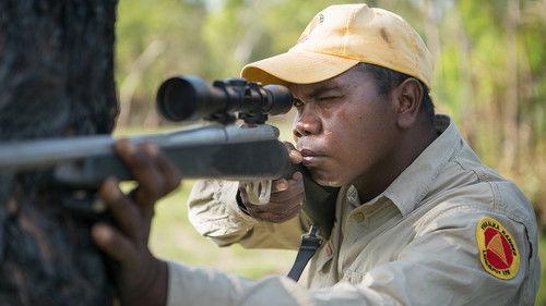 Hello Stranger Season 1 Episode 9 - Firearms and Ferals