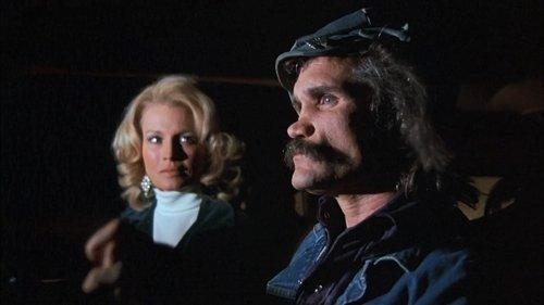 Police Woman Season 1 Episode 22 - The Loner