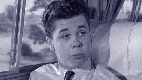 Leave It to Beaver Season 2 Episode 24 - The Bus Ride