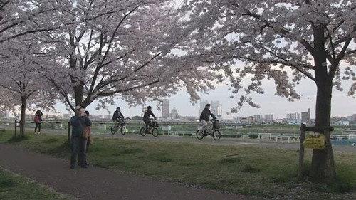 Document 72 Hours Season 6 Episode 16 - Following the Cherry Blossoms Upstream: A Three-Day Trip Along the Tama River