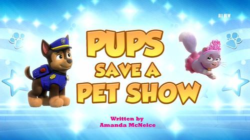 PAW Patrol Season 11 Episode 8 - Pups Save a Pet Show