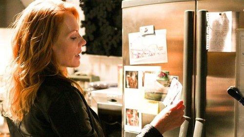 undefined Season 8 Episode 12 - Grissom's Divine Comedy