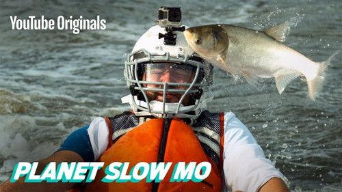 Planet Slow Mo Season 1 Episode 5 - Flying Fish to the Face in Slow Motion
