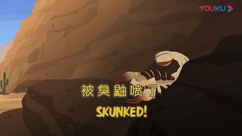 Wild Kratts Season 2 Episode 20 - Skunked!