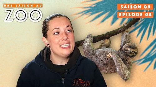 Une saison au zoo Season 8 Episode 8 - Episode 8