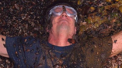 I'm a Celebrity...Get Me Out of Here! Season 20 Episode 20 - Final: The Table of Torment / Frightening Feast / The Iron Maiden