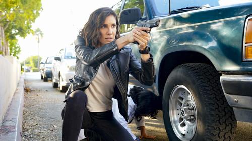 NCIS: Los Angeles Season 12 Episode 6 - If The Fates Allow