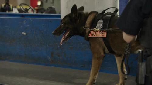 Background image for Meth Lab Takedown