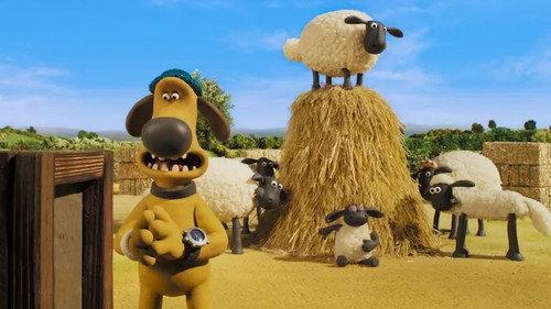 Shaun the Sheep Season 6 Episode 8 - Bitzer's Bale Out