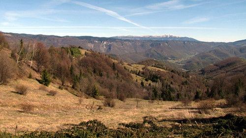 Background image for Episode 6