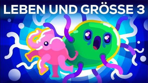 Kurzgesagt - In a Nutshell Season 8 Episode 17 - How Large Can a Bacteria get? Life & Size 3