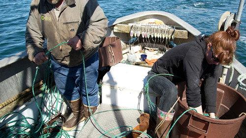 Port Protection Alaska Season 1 Episode 7 - Broken Lines