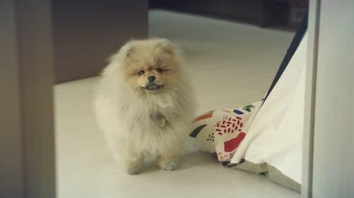 Tomorrow Season 1 Episode 9 - Someday, Because of You