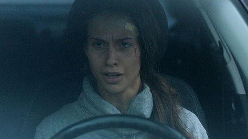 The Bridge Season 2 Episode 5 - Episode 5