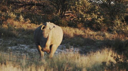 Alone Season 12 Episode 5 - The Tempest