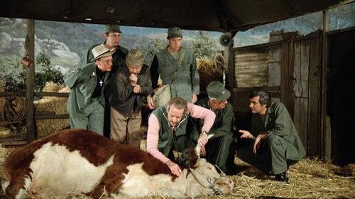 undefined Season 10 Episode 11 - The Birthday Girls