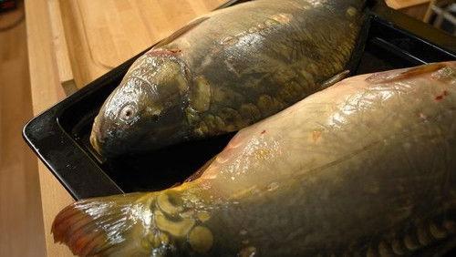 Kluci v akci Season 1 Episode 16 - Episode 16