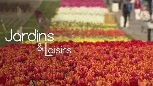 Jardins & Loisirs Season 25 Episode 15 - Episode 15