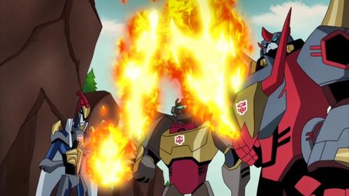 Background image for Survival of the Fittest