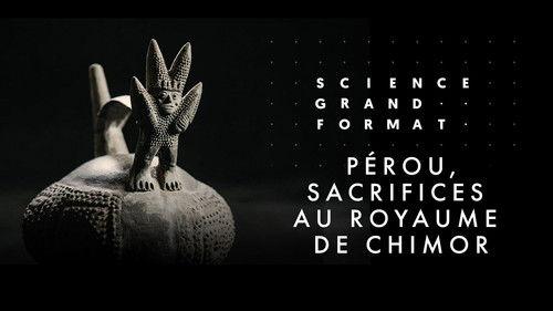 Science grand format Season 7 Episode 12 - Episode 12